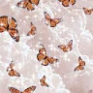 Meet your Posher, Deldreona